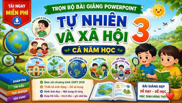 Bài giảng PowerPoint Tự nhiên và Xã hội 3 cả năm – Tải miễn phí trọn bộ PPT đẹp, trực quan