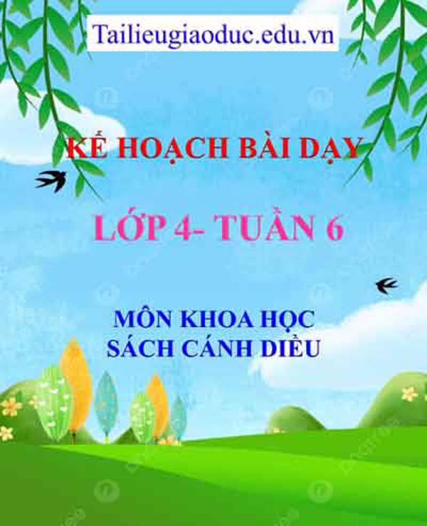KHBD môn Khoa học lớp 4 tuần 6-Sách CD