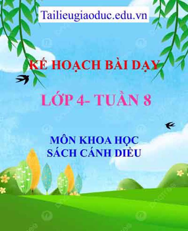 KHBD môn Khoa học lớp 4 tuần 8-Sách CD