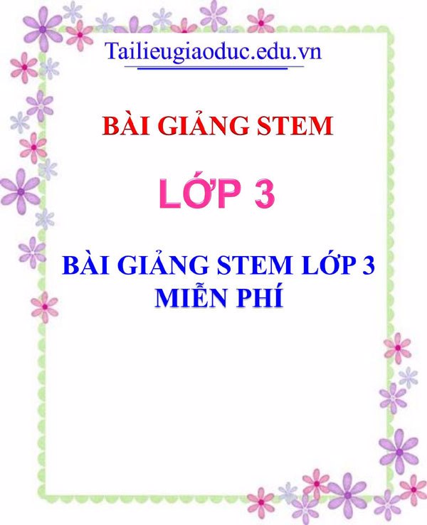 Bài giảng Stem lớp 3