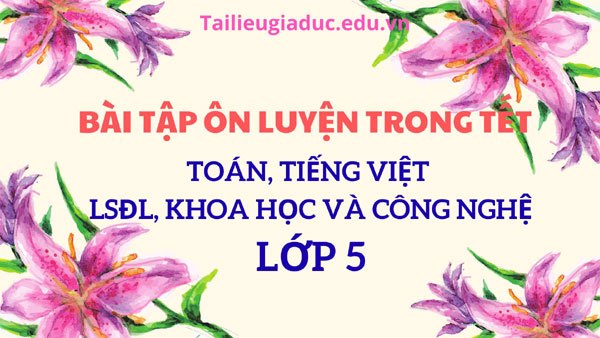 Bài tập ôn luyện trong tết lớp 5