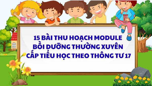 15 Bài thu hoạch Bồi dưỡng Thường xuyên Tiểu học theo Thông tư 17 