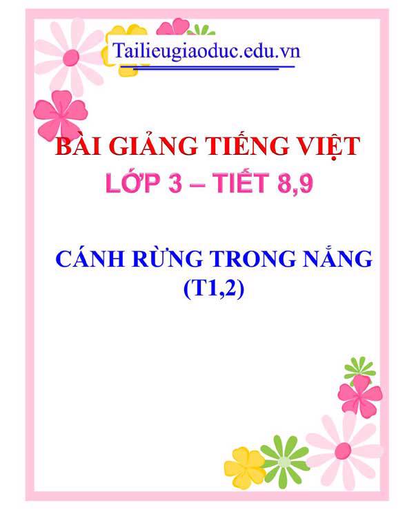 BÀI 3: CÁNH RỪNG TRONG NẮNG (T1,2)